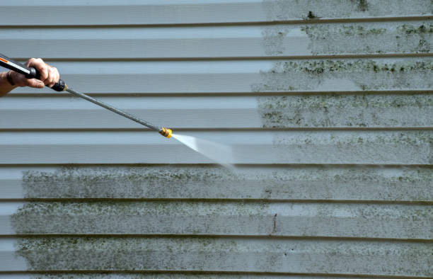 Best Solar Panel Cleaning  in East Niles, CA